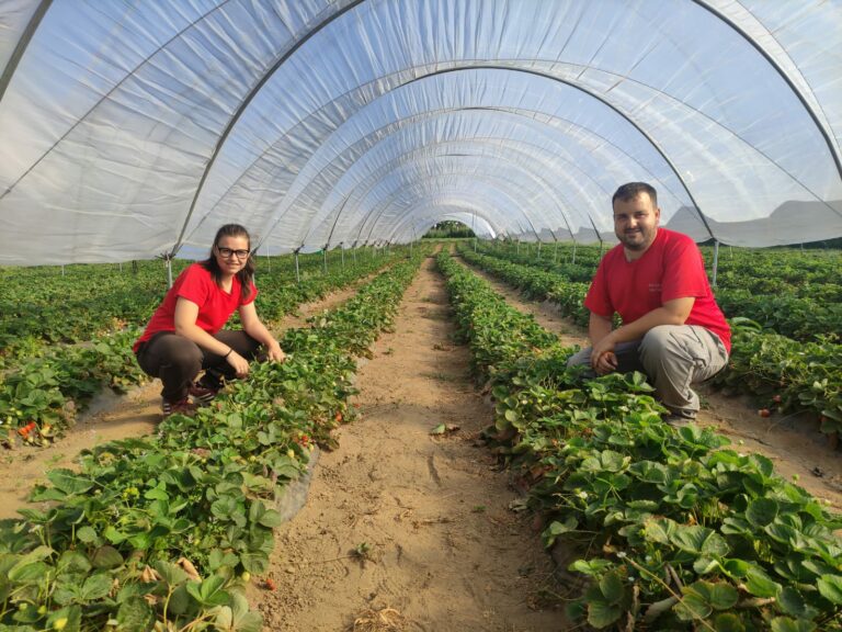 Ángela Campo y Fernando Ruenes de Asturiana de Fresas: “Para dedicarse a esto necesitas formación, constancia, paciencia y mucho trabajo”