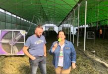 Sergio Suárez, agricultor y presidente de IGP Faba Asturiana