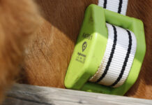 Llega una nueva convocatoria del programa Kit Digital para seguir digitalizando la agricultura y la ganadería