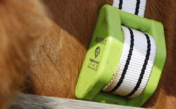 Llega una nueva convocatoria del programa Kit Digital para seguir digitalizando la agricultura y la ganadería