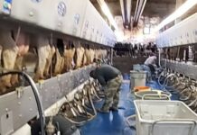 Formación, solución a la falta de mano de obra