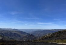 Asturias despliega una gestión integral frente a los incendios forestales