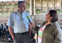 Entrevista a Julio Fernández Fernández, ganadero de Villatresmil (Tineo)