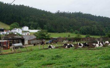 Los agricultores y ganaderos de Asturias percibirán 36 millones de euros en pagos anticipados de la PAC