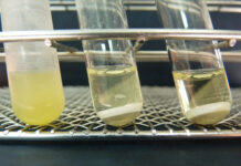 ASINCAR, ASEAVA Y CIIN-CSIC colaboran en un proyecto para desarrollar un bebedero que reduzca la proliferación de microorganismos