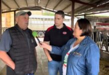 Entrevista a José Oliveros, socio de SAT García Quintana de Valboa (Lugo)