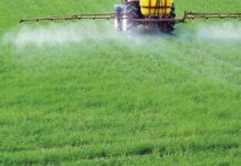 Cerca de 400 agricultores de Asturias han recibido ya un total de 170.000 euros de las ayudas por el encarecimiento de los fertilizantes