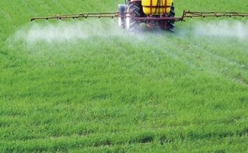 Cerca de 400 agricultores de Asturias han recibido ya un total de 170.000 euros de las ayudas por el encarecimiento de los fertilizantes