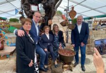 Medio Rural invierte más de medio millón en la lucha contra la avispilla del castaño con organismos biológicos