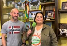 Entrevista a Vicente Velasco López, criador, preparador y manejador de raza Frisona