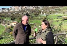 Entrevista a Diego Vázquez, ganadero de Pelúgano (Aller) afectado por el lobo