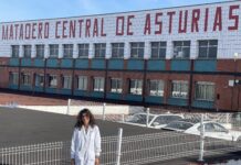 El Matadero Central de Asturias, certificado en bienestar animal bajo el referencial Welfare Quiality por quinto año consecutivo