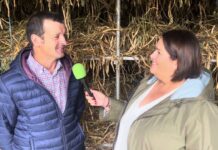 Lino González Rodríguez, productor de IGP Faba Asturiana de Lantero (Tineo)