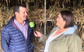 Lino González Rodríguez, productor de IGP Faba Asturiana de Lantero (Tineo)