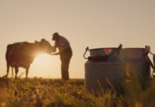 El Gobierno de Asturias apoya con 4,6 millones la incorporación de 76 jóvenes a la actividad agraria