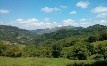 El Principado distribuirá 18 millones entre 74 municipios para la mejora de infraestructuras y prevención de incendios