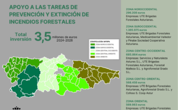 Fomento refuerza la lucha contra los incendios forestales: 3,5 millones que permitirán contar con 120 personas de apoyo al SEPA distribuidas por toda Asturias