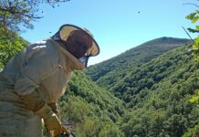 El néctar del paraíso