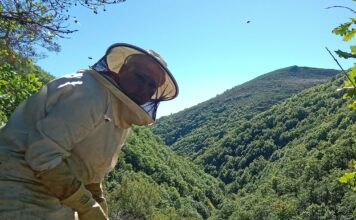 El néctar del paraíso