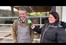 Entrevista a Agapito Fernández de SAT Ceceño, propietario de Llinde Ariel Jordan