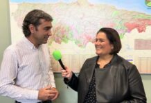 Entrevista a Javier Vigil, director general de Gestión Forestal