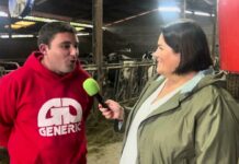 Entrevista a Fernando Martínez Barbón de Ganadería SAT Jomafe de Ardesaldo (Salas)