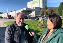 Entrevista a Javier Fernández, director técnico de Producción Animal de Campoastur