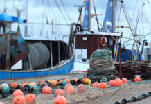 El aumento de cuota de merluza y bonito para el próximo año, importante avance para el sector pesquero asturiano