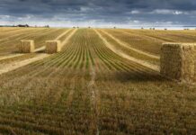 El sector agrario cierra 2023 con un lamentable balance para ASAJA