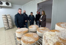 Medio Rural destina este año ocho millones a ayudas para apoyar a las empresas agroalimentarias y forestales