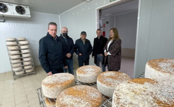 Medio Rural destina este año ocho millones a ayudas para apoyar a las empresas agroalimentarias y forestales