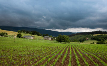 Medio Rural incrementa hasta un millón las ayudas para contratar seguros agrarios