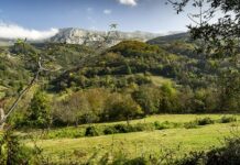 El Principado destaca el papel clave del presupuesto para reforzar las políticas de prevención y extinción de incendios en 2024