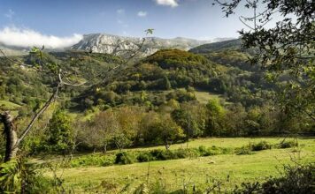 El Principado destaca el papel clave del presupuesto para reforzar las políticas de prevención y extinción de incendios en 2024