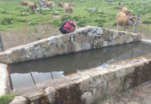 Asturias invierte 216.000 euros en la mejora de infraestructuras ganaderas en el Parque Nacional de los Picos de Europa