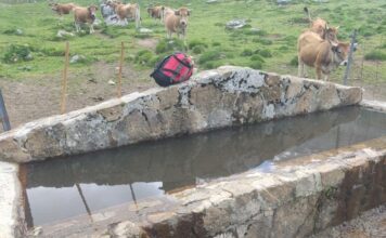 Asturias invierte 216.000 euros en la mejora de infraestructuras ganaderas en el Parque Nacional de los Picos de Europa