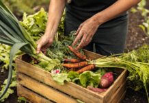 Medio Rural destina ocho millones en ayudas para fortalecer el desarrollo de las empresas agroalimentarias y tecnología forestal