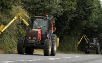 Fomento saca a licitación por siete millones la contratación de actuaciones de desbroces y limpiezas de la red de carreteras