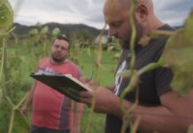 Paula Álvarez, gerente de la IGP Faba Asturiana: “Intentamos que nuestro sector sea cada día más fuerte y profesional”