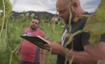 Paula Álvarez, gerente de la IGP Faba Asturiana: “Intentamos que nuestro sector sea cada día más fuerte y profesional”
