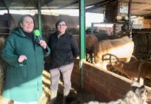 Entrevista a Rosa María Agudín, ganadería Conde Agudín de Castañeda (Avilés)