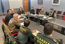 Medio Rural mantendrá la presión cinegética sobre el jabalí para reducir la sobrepoblación de la especie y sus daños