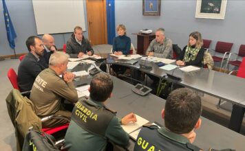 Medio Rural mantendrá la presión cinegética sobre el jabalí para reducir la sobrepoblación de la especie y sus daños