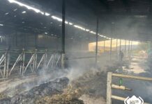 Controlado el incendio en una ganadería de Otur (Valdés)