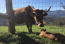 Medio Rural realiza un nuevo pago de más de 3,8 millones