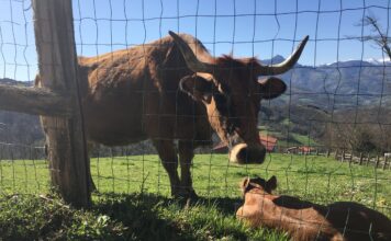 Medio Rural realiza un nuevo pago de más de 3,8 millones