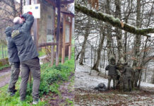 Asturias refuerza con cámaras de vigilancia la prevención y lucha contra los incendios forestales