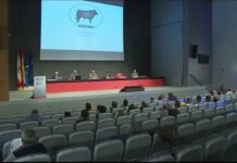 La nueva Junta Electoral de ASEAVA continuará con el proceso electoral