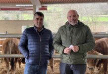 El Mercado de Ganado de Cangas de Onís acoge la próxima subasta de ASEAMO