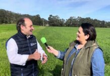 Entrevista a Dani Baizán, asesor técnico comercial de Delagro sobre Yara Activa